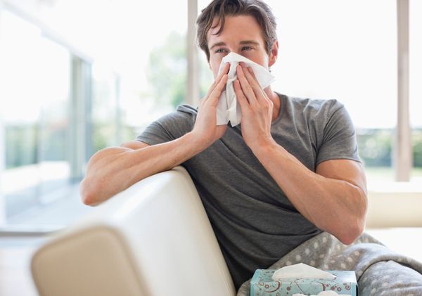 Why Americans Lie at Work About Their Allergy Agony